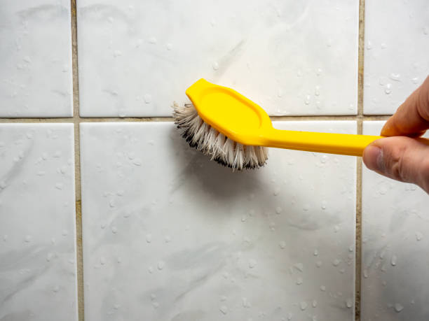 Home Mold Removal in Safford, AZ