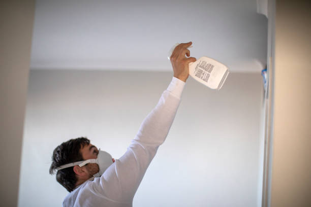 Best Professional Mold Removal  in Safford, AZ
