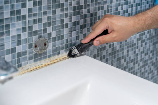 Best Attic Mold Removal  in Safford, AZ
